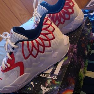 Lamelo 1 of 1
